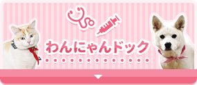 わんにゃんドック